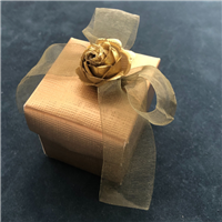 Two-Piece Giftbox Favor in Autumn Colors